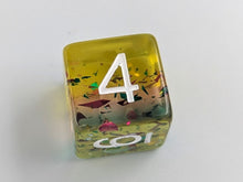 Load image into Gallery viewer, Lily 6 Sided Dice